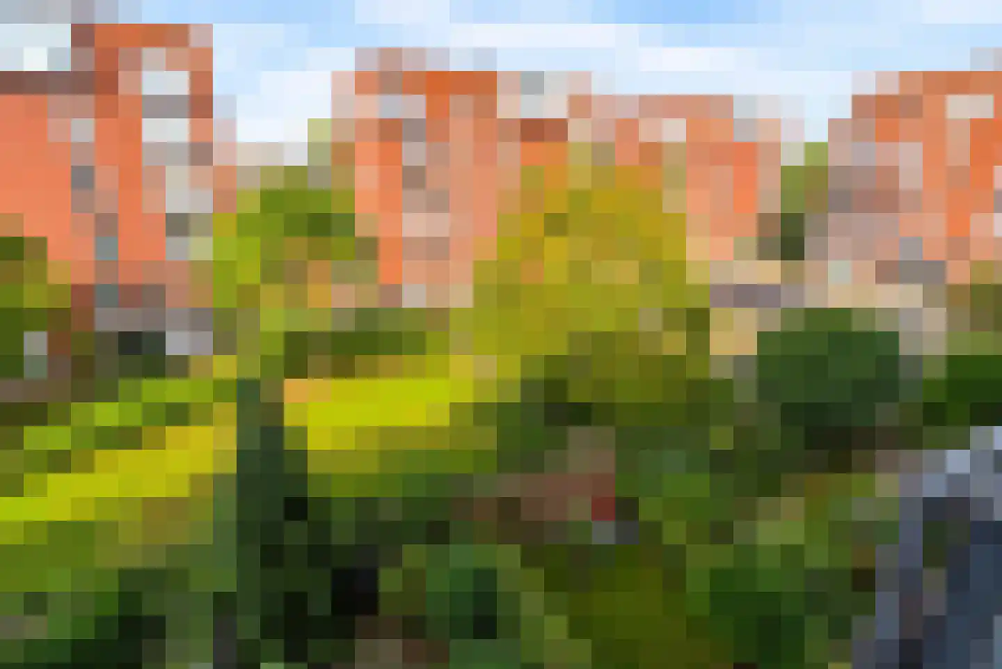 Voorsterbeeklaan 164 Utrecht thumbnail 4