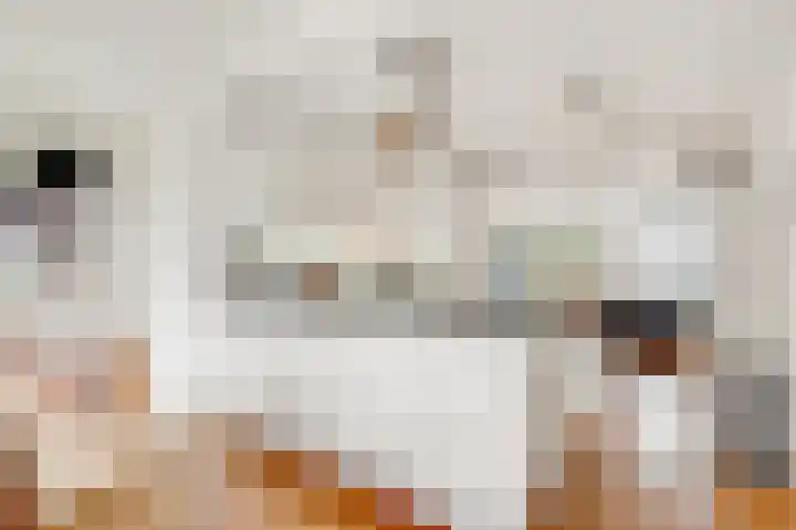 Voorsterbeeklaan 190 Utrecht thumbnail 13