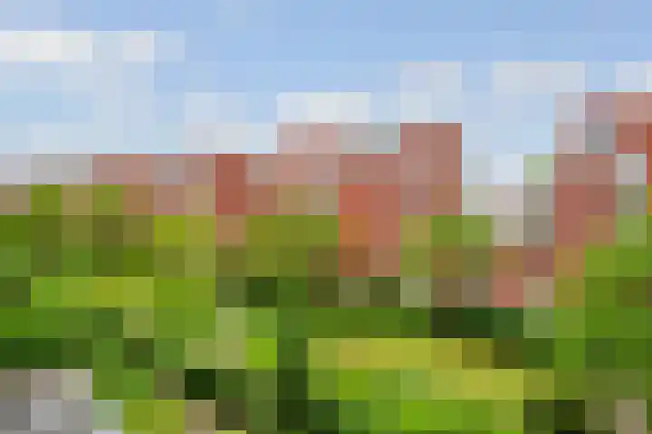 Voorsterbeeklaan 190 Utrecht thumbnail 18