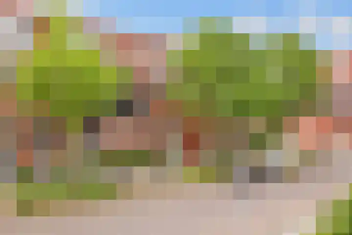 Voorsterbeeklaan 190 Utrecht thumbnail 30