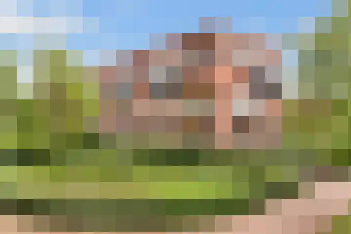 Voorsterbeeklaan 190 Utrecht thumbnail 31
