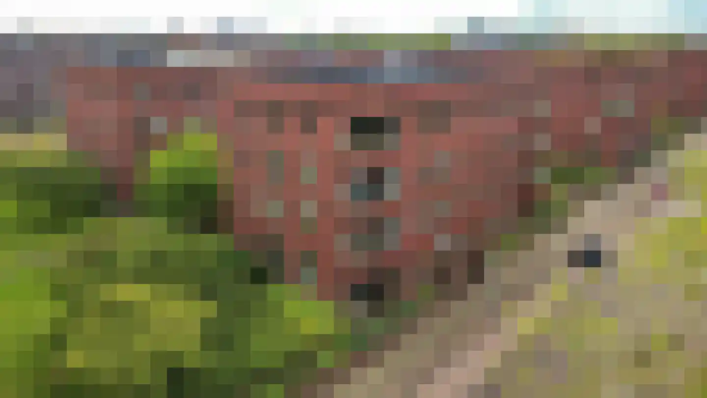 Voorsterbeeklaan 37 Utrecht thumbnail 34