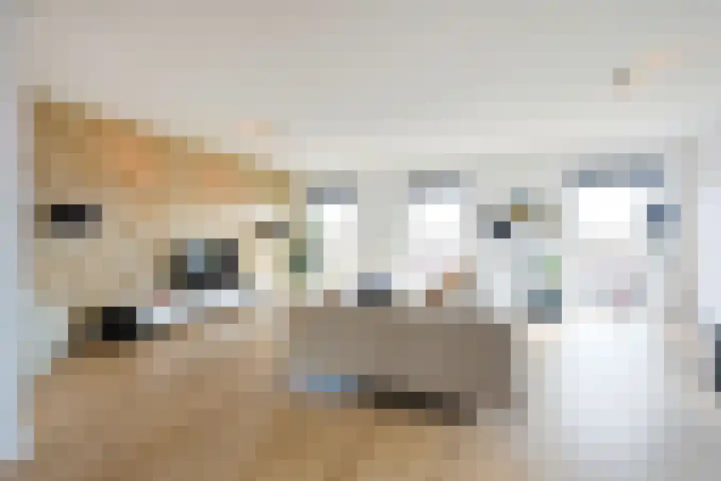 Voorsterbeeklaan 38 Utrecht thumbnail 13