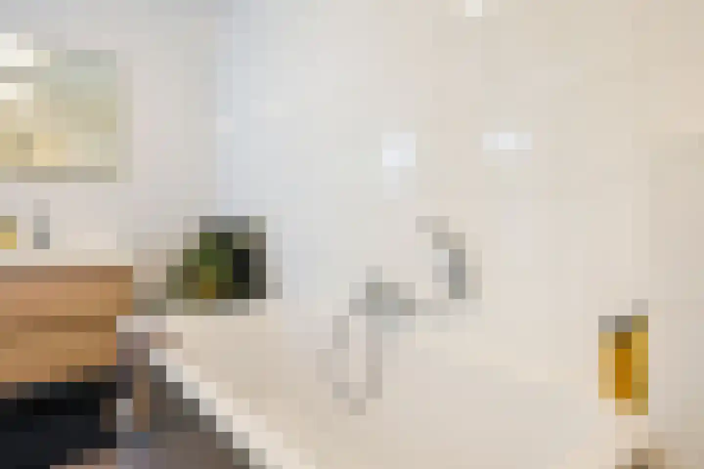 Voorsterbeeklaan 38 Utrecht thumbnail 30