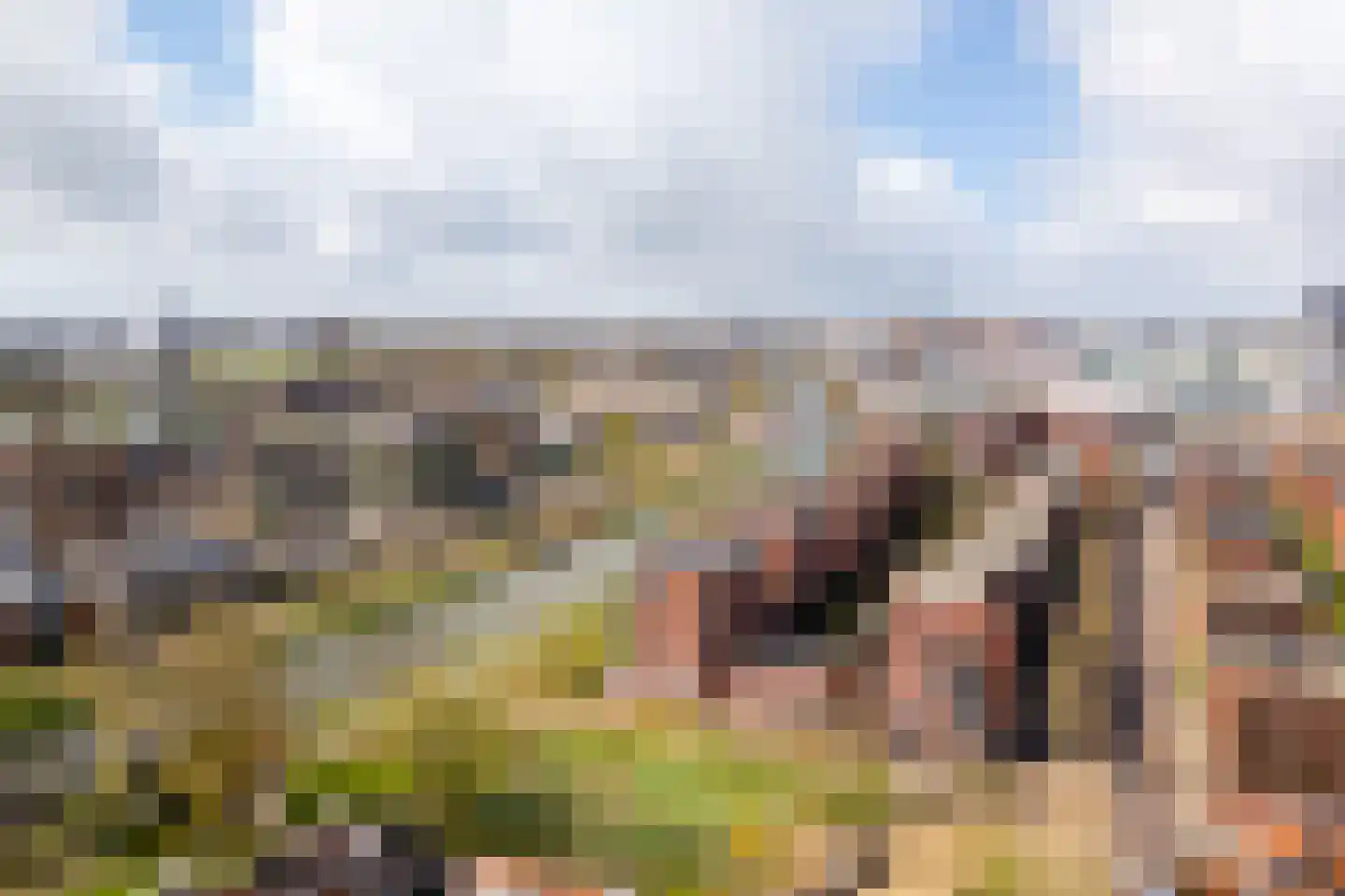 Voorsterbeeklaan 38 Utrecht thumbnail 43