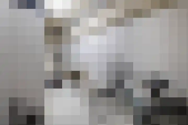 Voorsterbeeklaan 41 Utrecht thumbnail 32