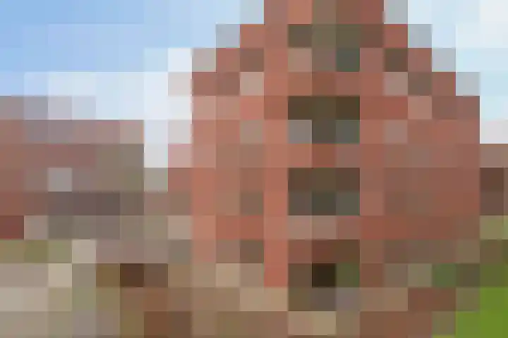 Voorsterbeeklaan 41 Utrecht thumbnail 38