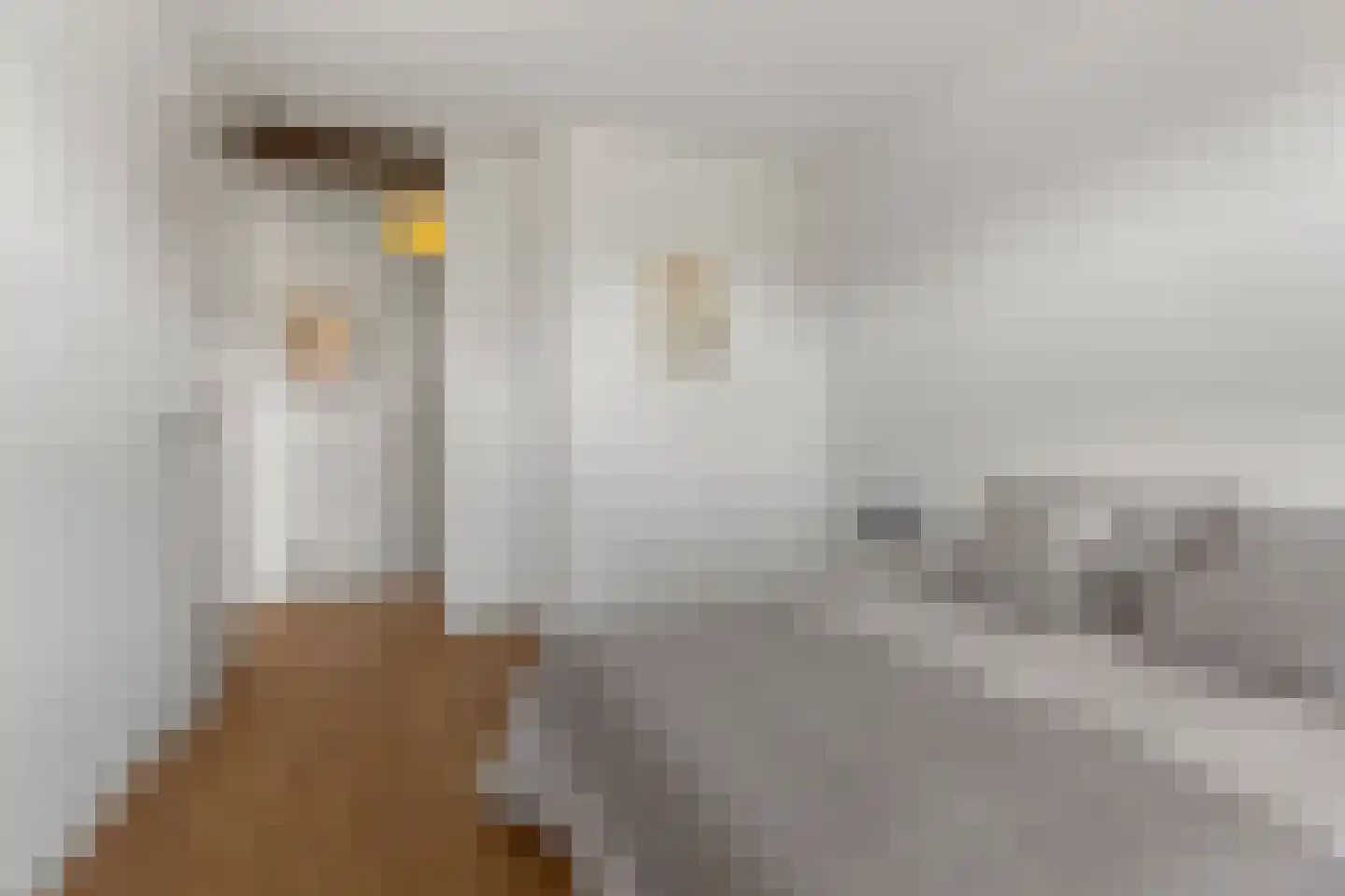 Voorsterbeeklaan 68 Utrecht thumbnail 23