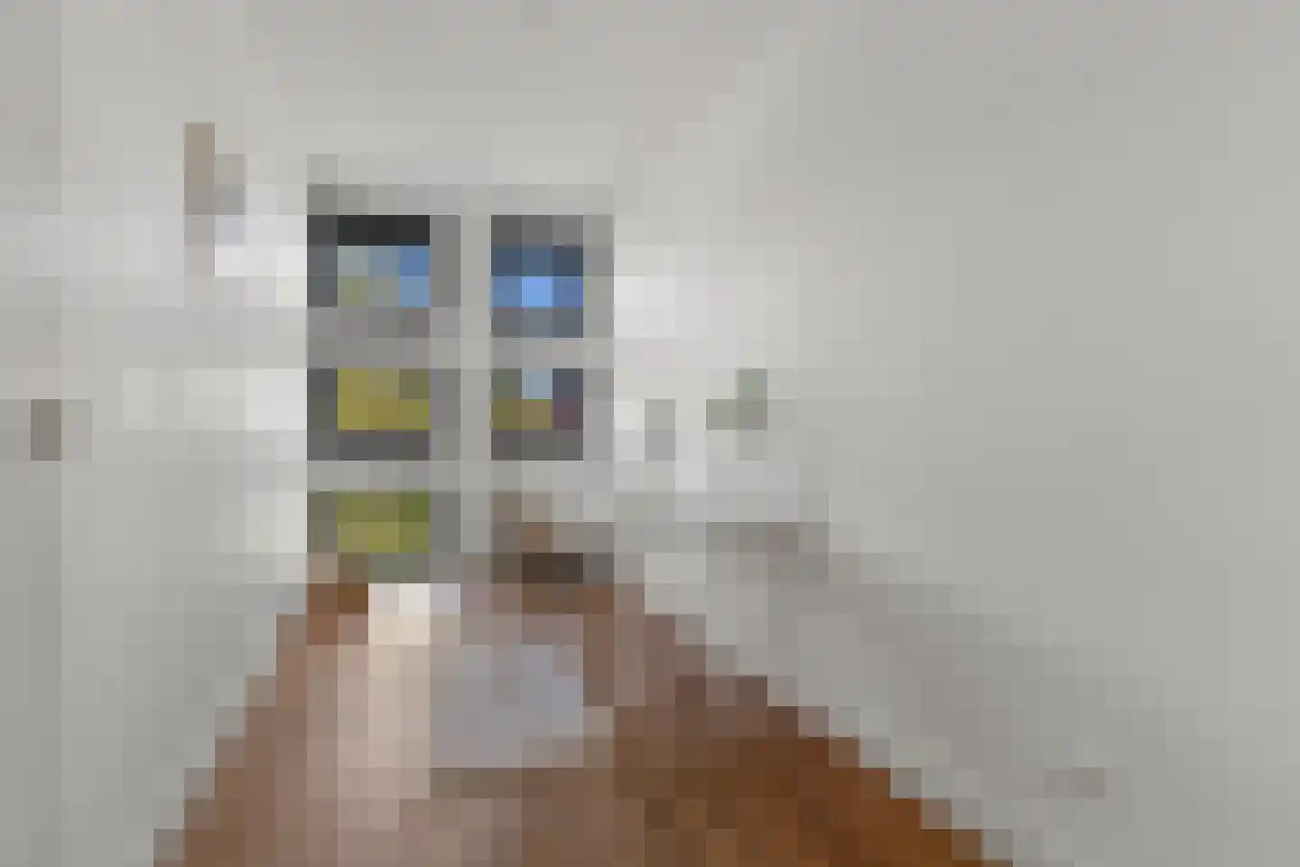 Voorsterbeeklaan 68 Utrecht thumbnail 24