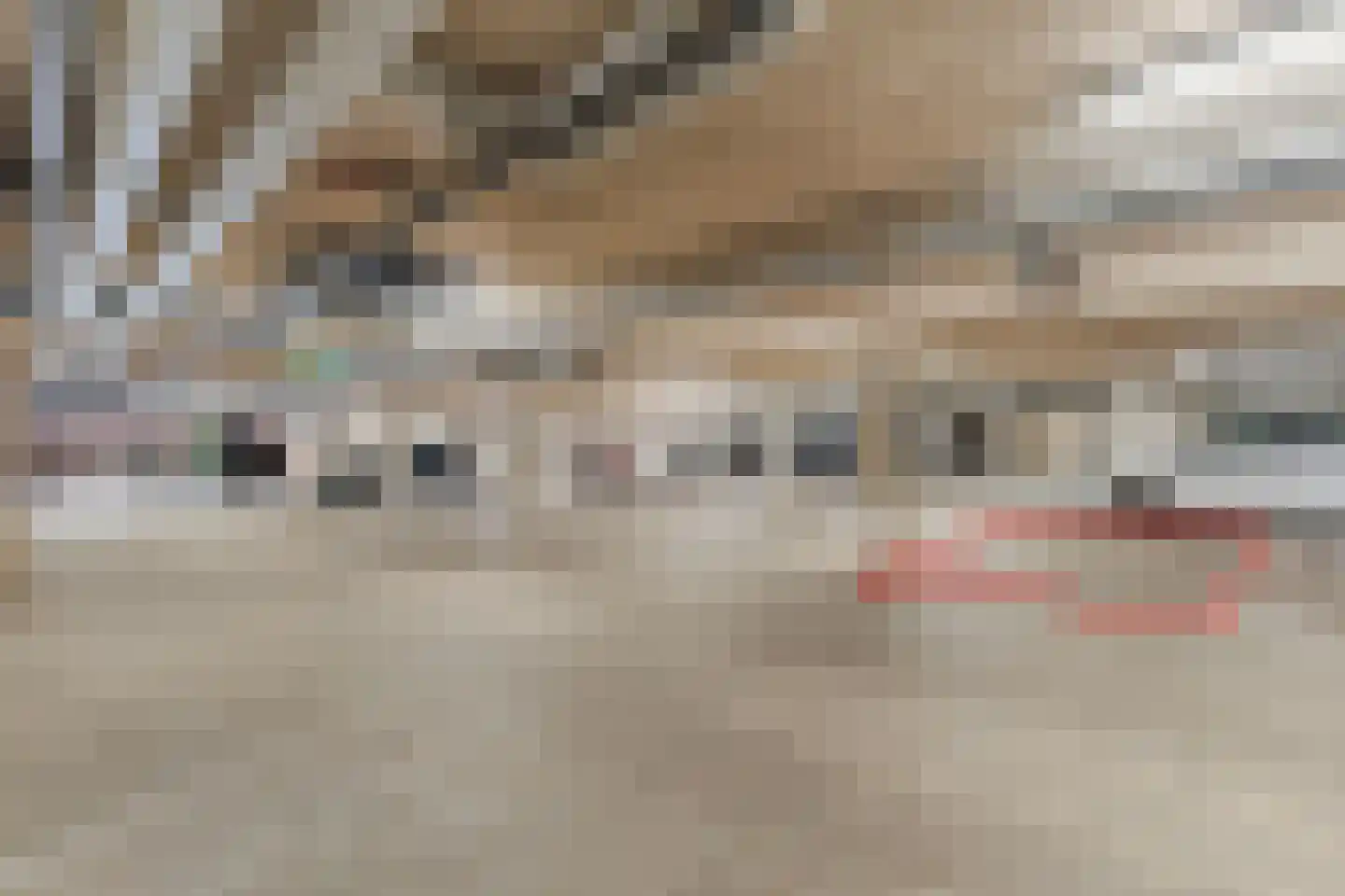 Voorsterbeeklaan 68 Utrecht thumbnail 30