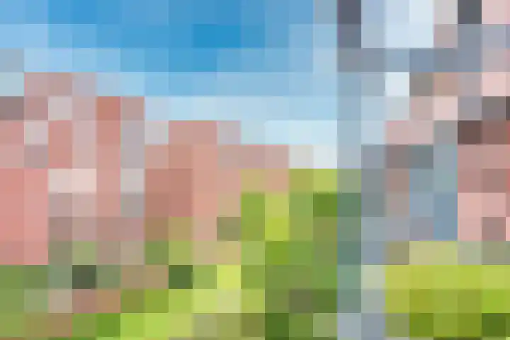 Voorsterbeeklaan 70 Utrecht thumbnail 15