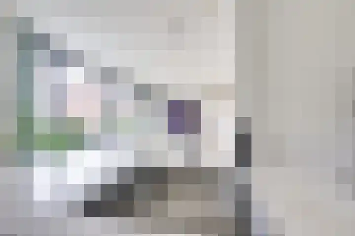 Voorsterbeeklaan 70 Utrecht thumbnail 18