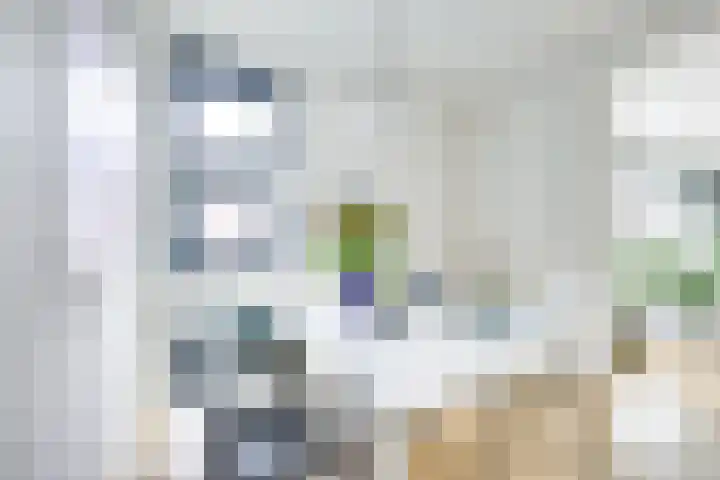 Voorsterbeeklaan 70 Utrecht thumbnail 24