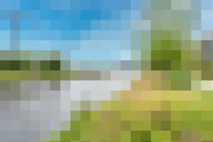 Voorsterbeeklaan 70 Utrecht thumbnail 44