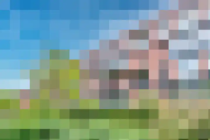 Voorsterbeeklaan 70 Utrecht thumbnail 46