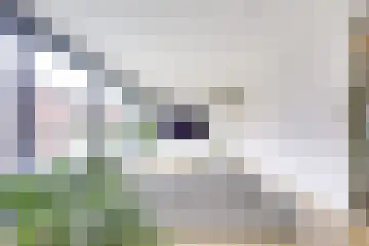 Voorsterbeeklaan 70 Utrecht thumbnail 7