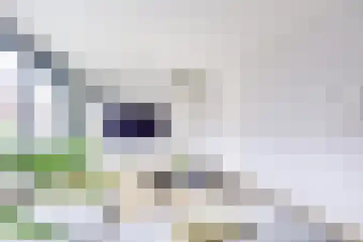 Voorsterbeeklaan 70 Utrecht thumbnail 8
