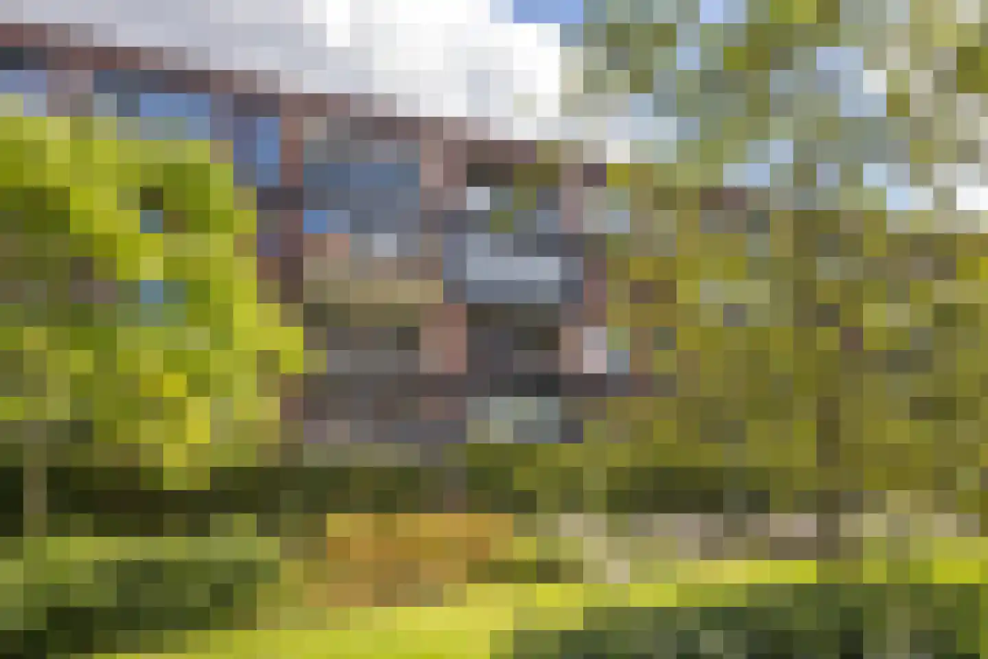 Voorsterbeeklaan 86 Utrecht foto 2