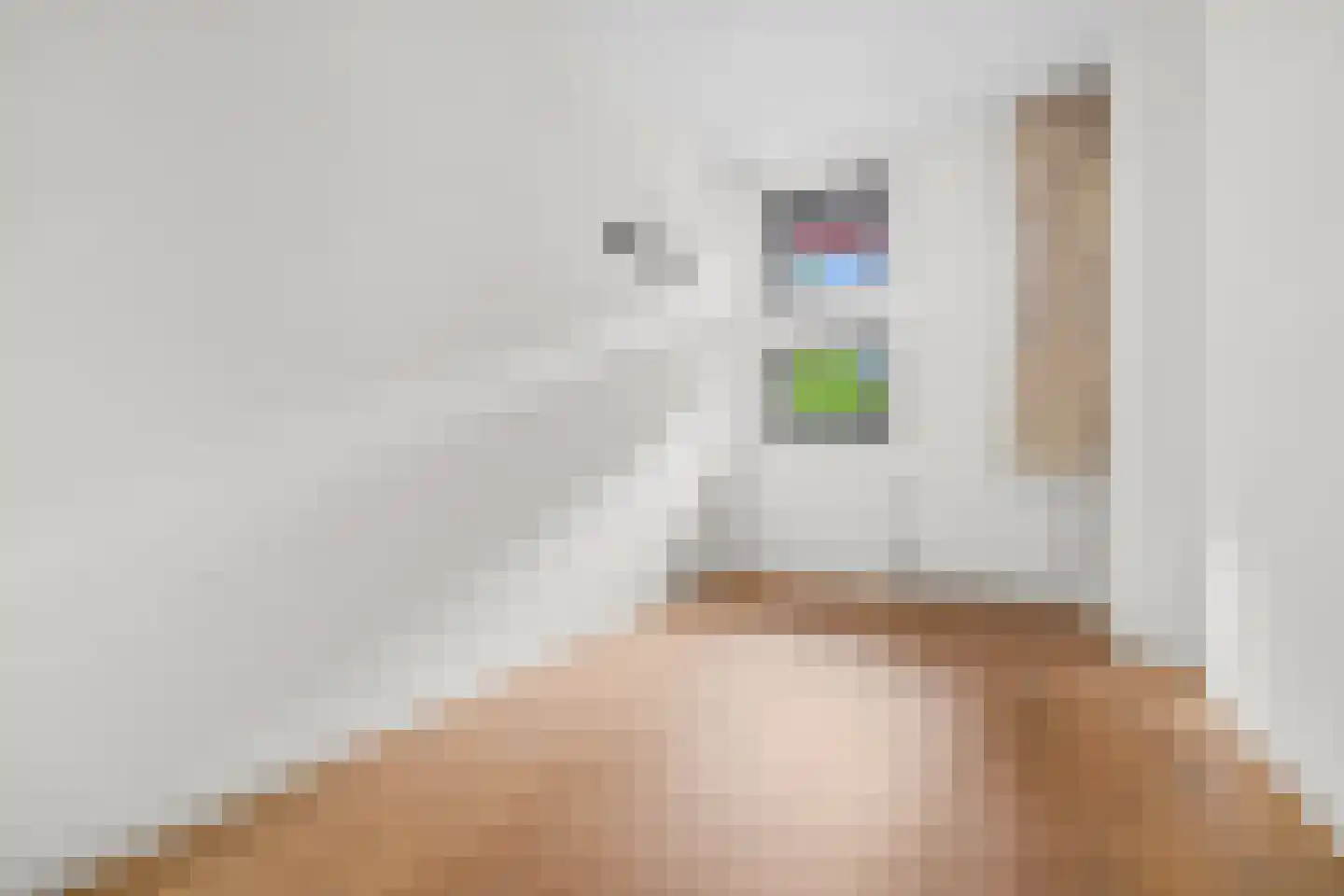 Voorsterbeeklaan 86 Utrecht thumbnail 23