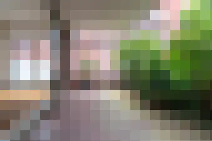 Voorsterbeeklaan 89 Utrecht thumbnail 11