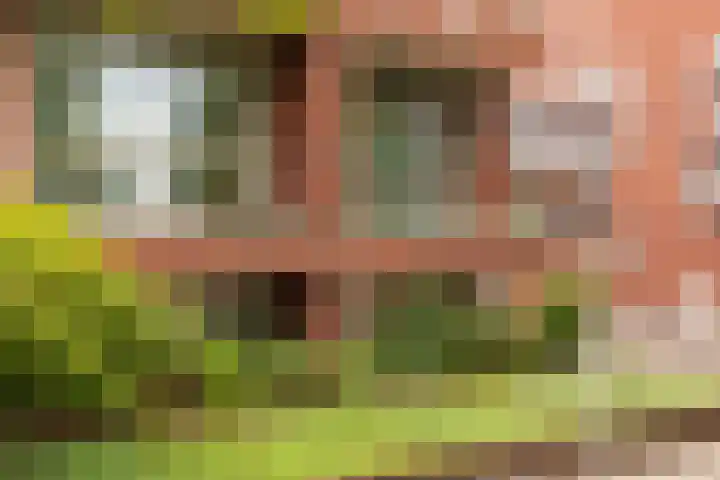Voorsterbeeklaan 89 Utrecht thumbnail 21