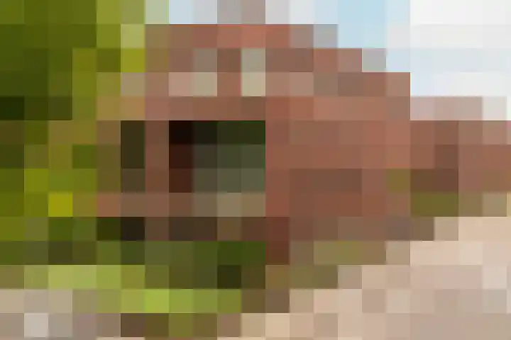 Voorsterbeeklaan 89 Utrecht thumbnail 22