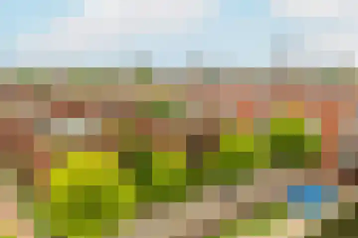 Voorsterbeeklaan 89 Utrecht thumbnail 25