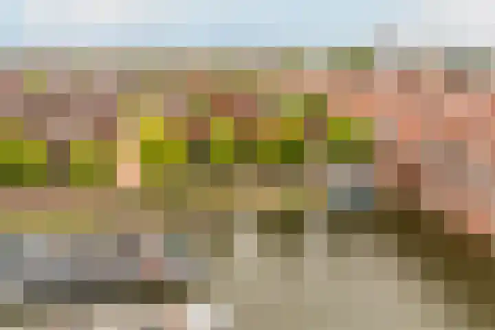Voorsterbeeklaan 89 Utrecht thumbnail 27