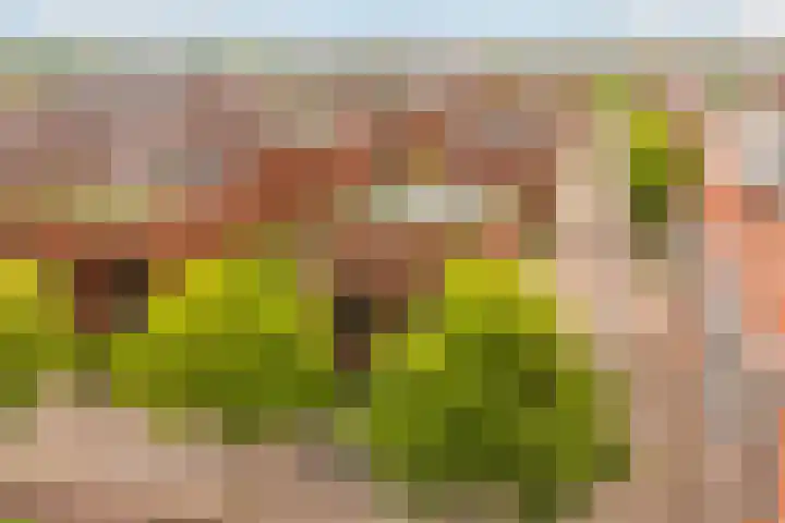 Voorsterbeeklaan 89 Utrecht thumbnail 30