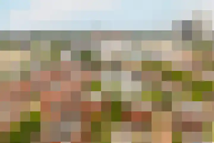 Voorsterbeeklaan 89 Utrecht thumbnail 32
