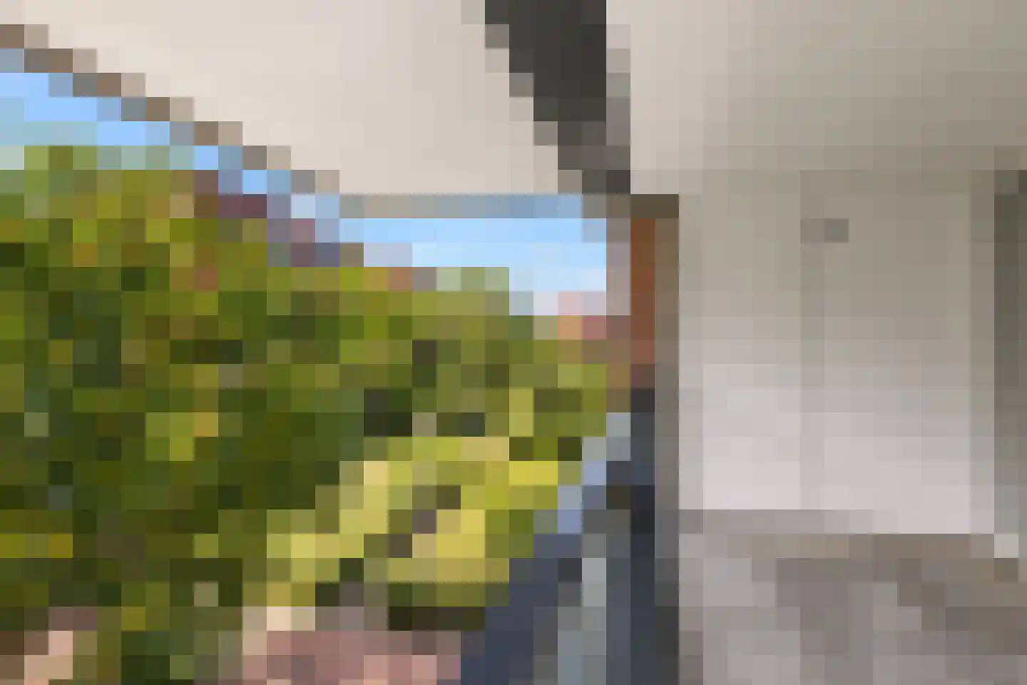 Voorsterbeeklaan 96 Utrecht thumbnail 14