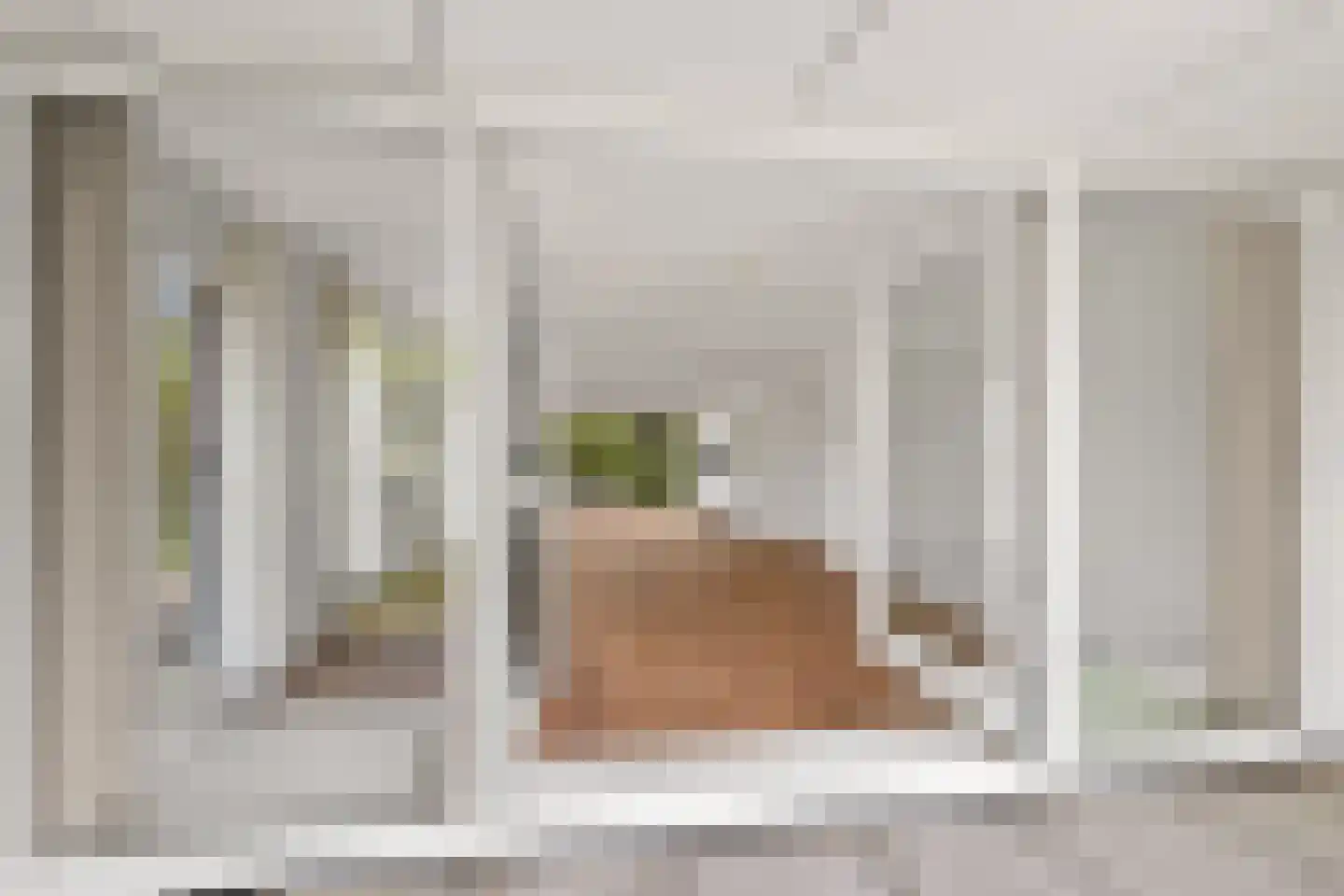 Voorsterbeeklaan 96 Utrecht thumbnail 17