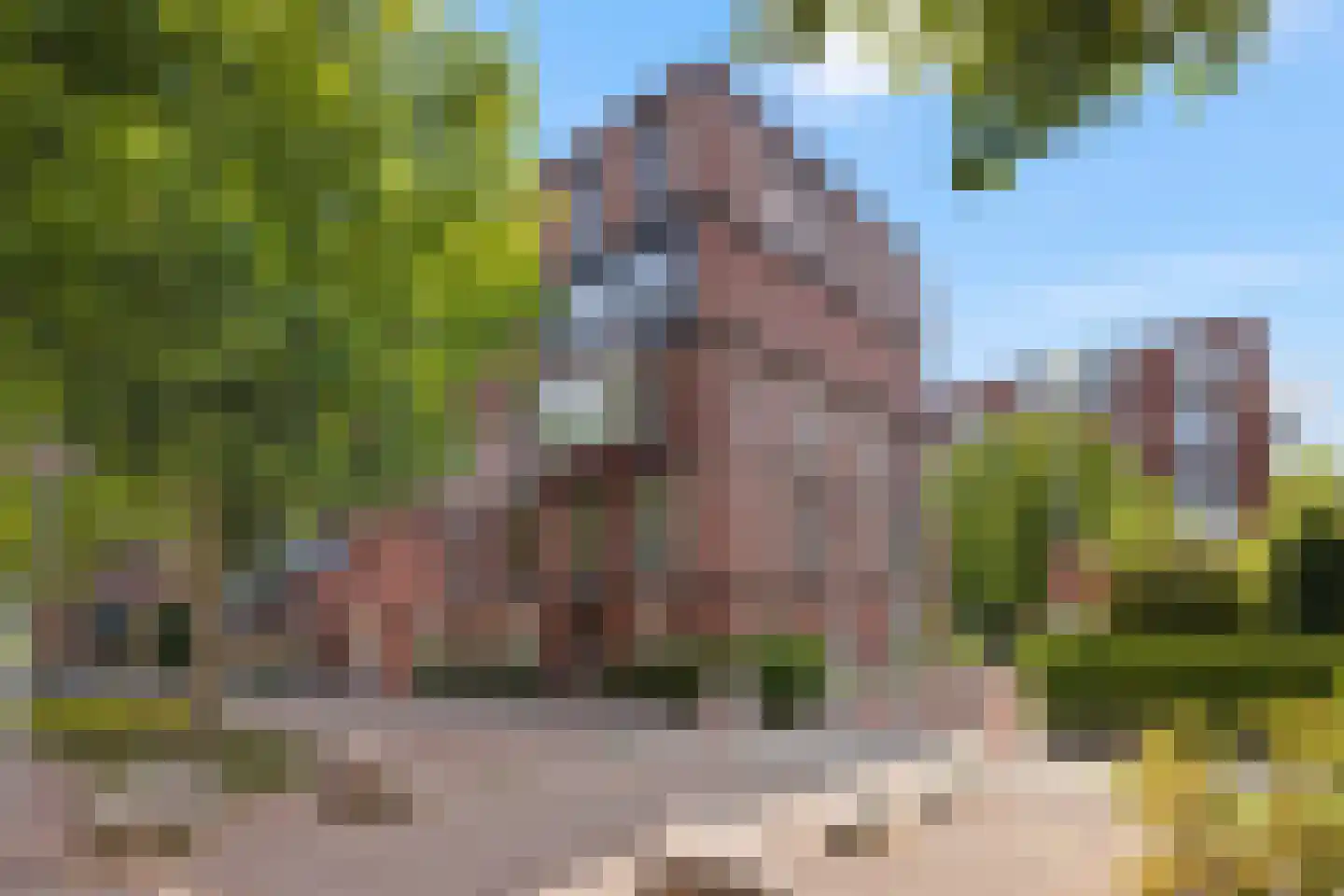 Voorsterbeeklaan 96 Utrecht thumbnail 4