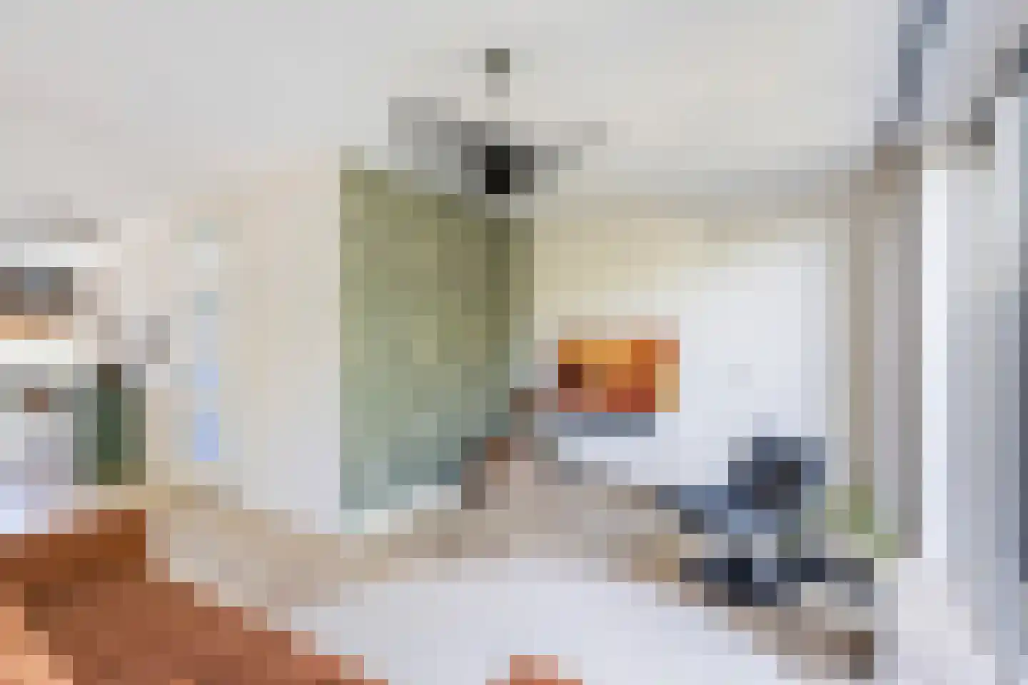 Voorsterhof 11 Zwolle thumbnail 10