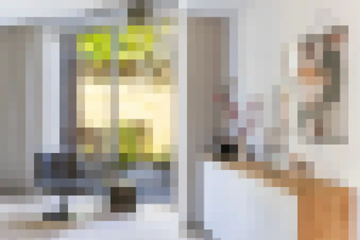 Voorsterhof 11 Zwolle thumbnail 11
