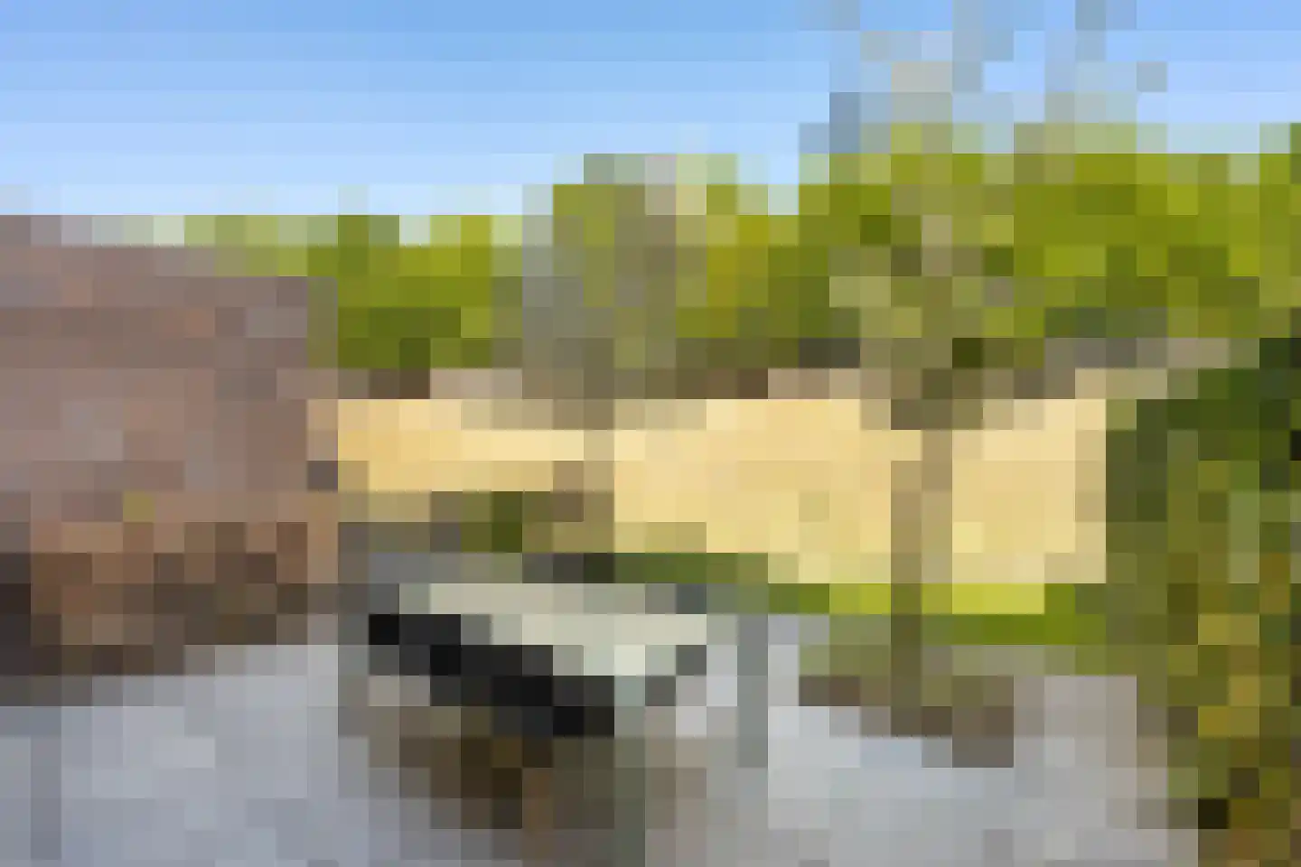Voorsterhof 11 Zwolle thumbnail 16