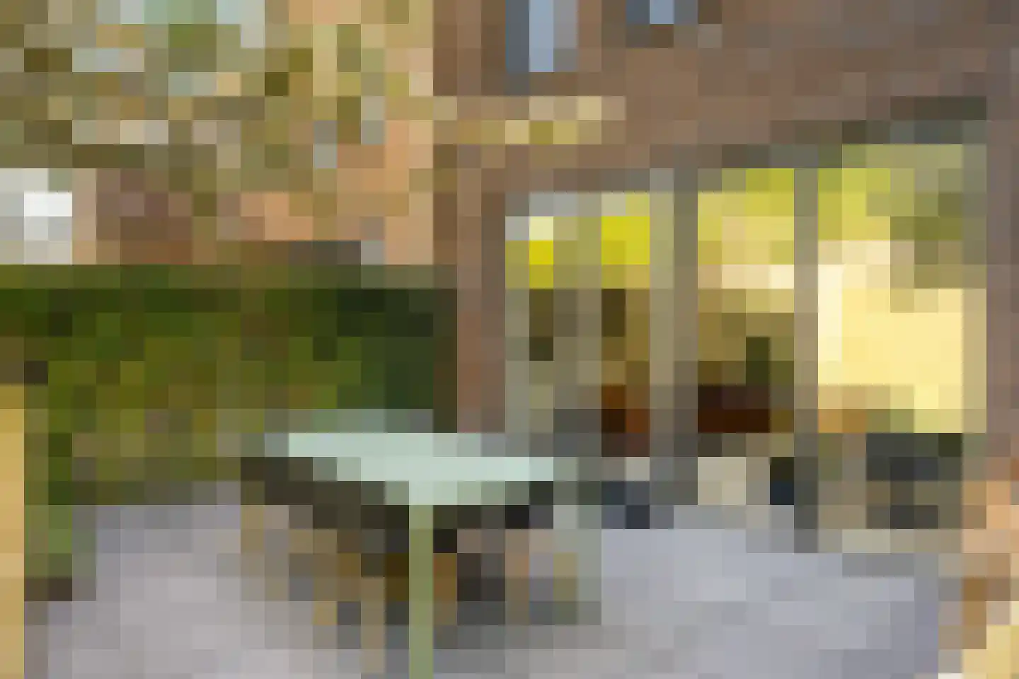 Voorsterhof 11 Zwolle thumbnail 17