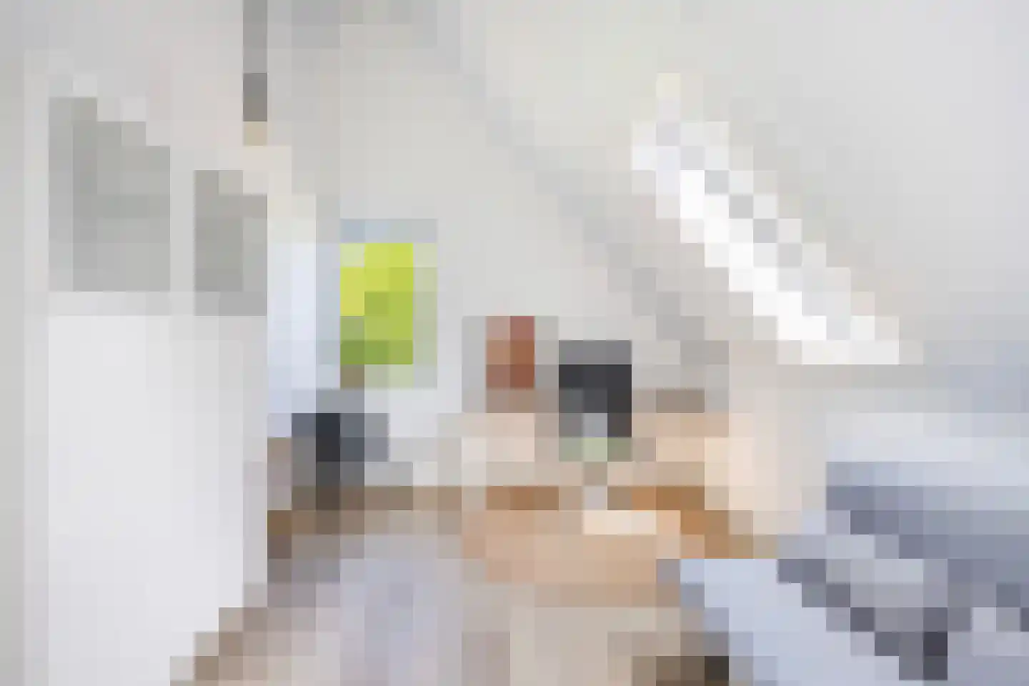 Voorsterhof 11 Zwolle thumbnail 36