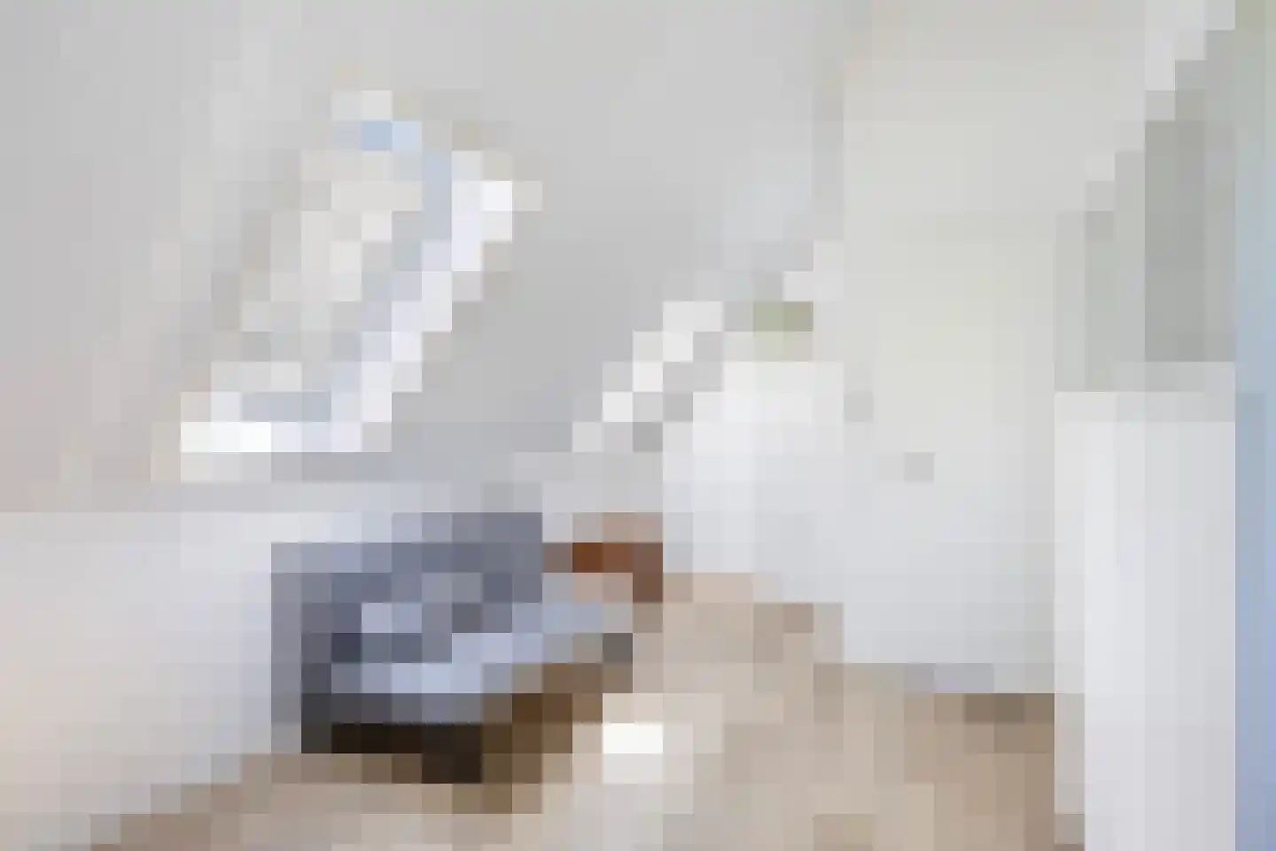 Voorsterhof 11 Zwolle thumbnail 37