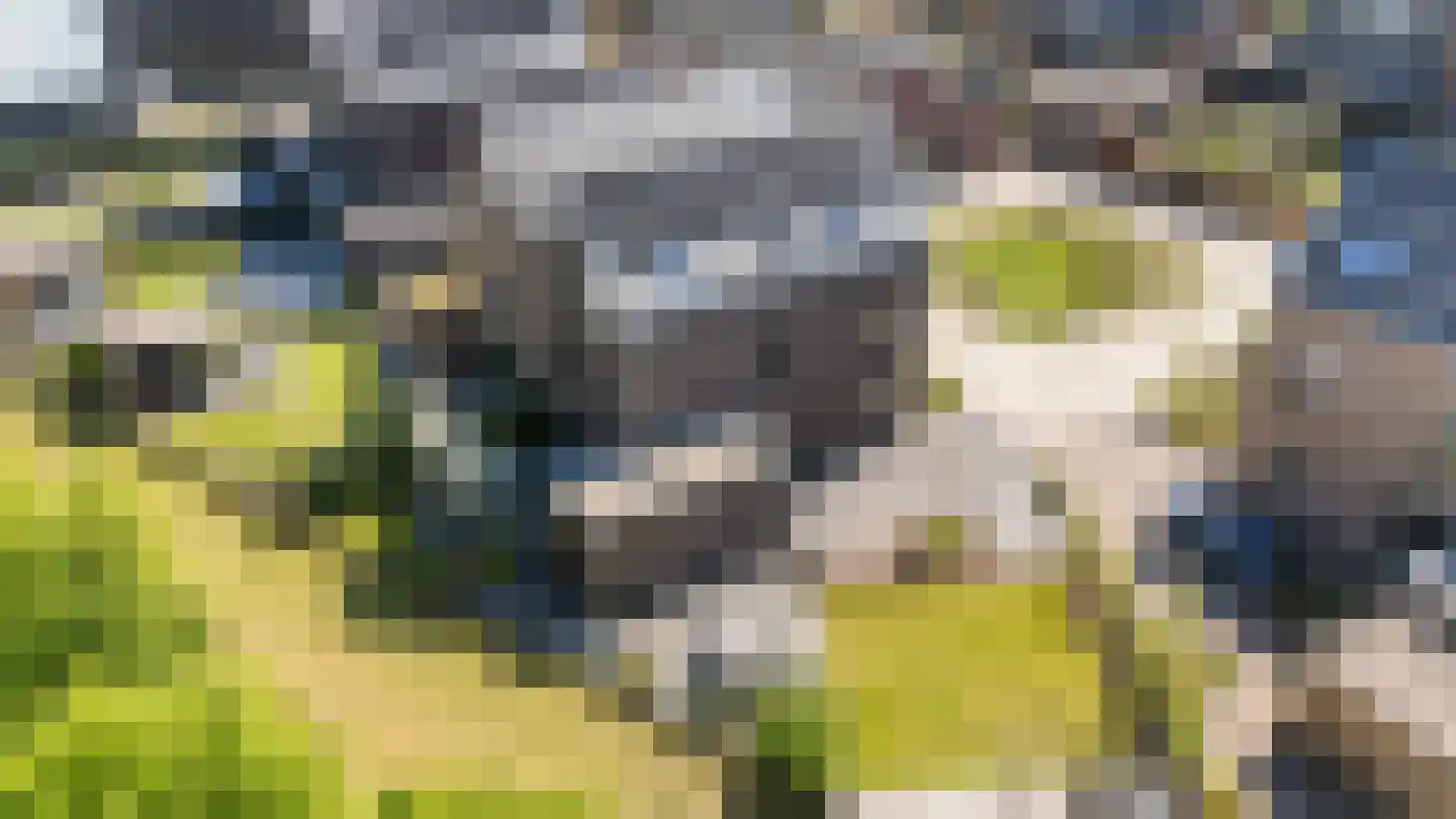 Voorsterhof 11 Zwolle thumbnail 5