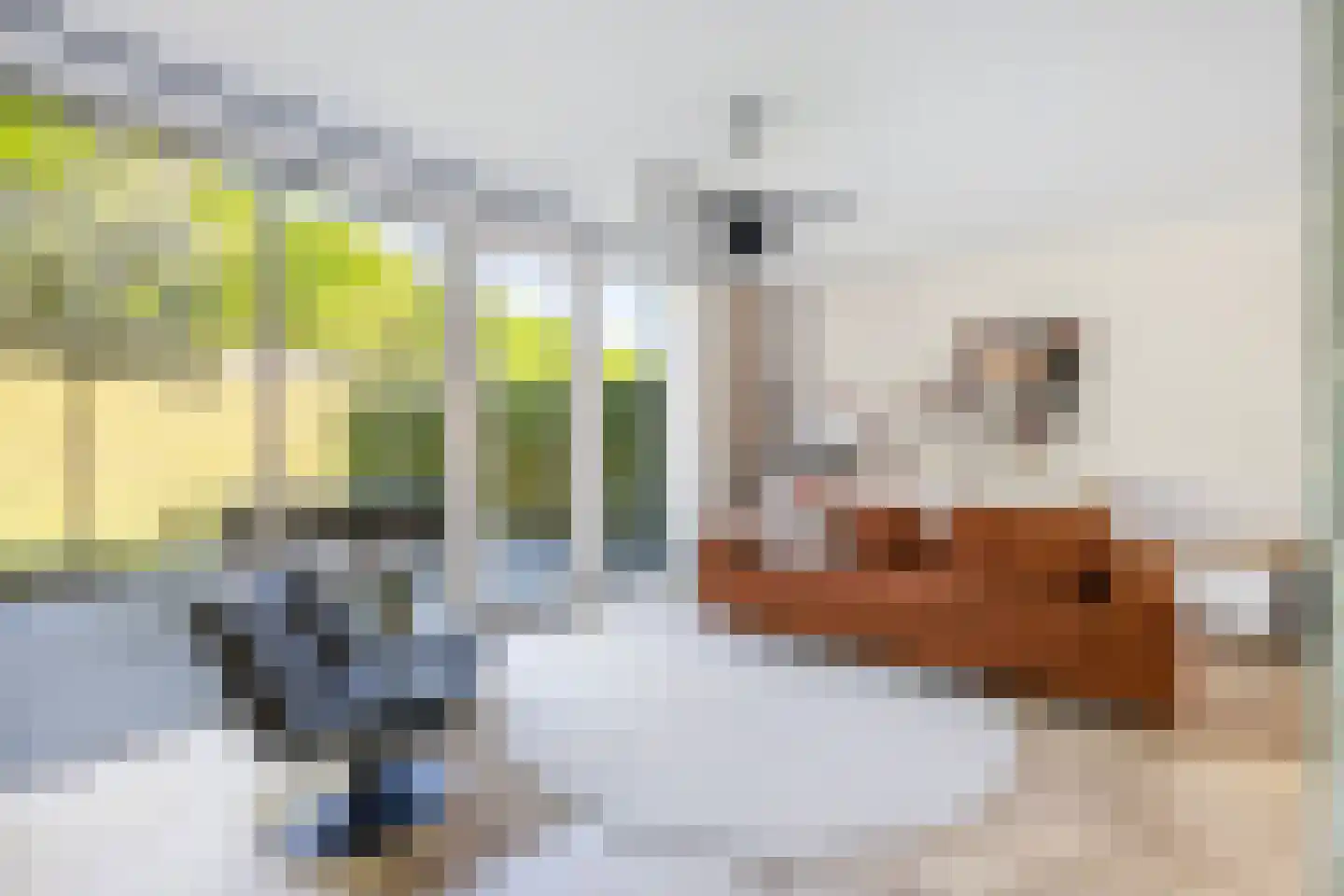 Voorsterhof 11 Zwolle thumbnail 7