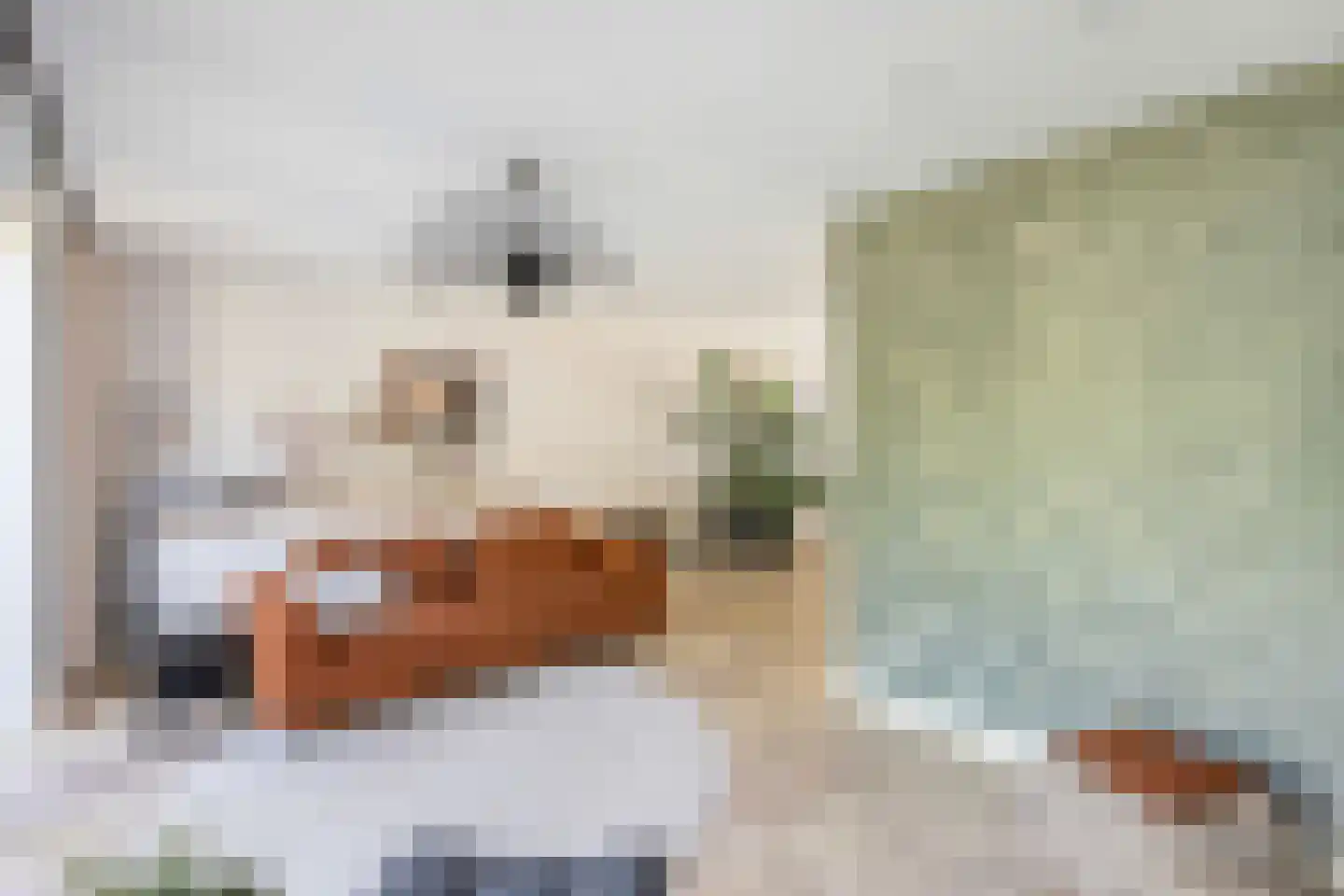 Voorsterhof 11 Zwolle thumbnail 9