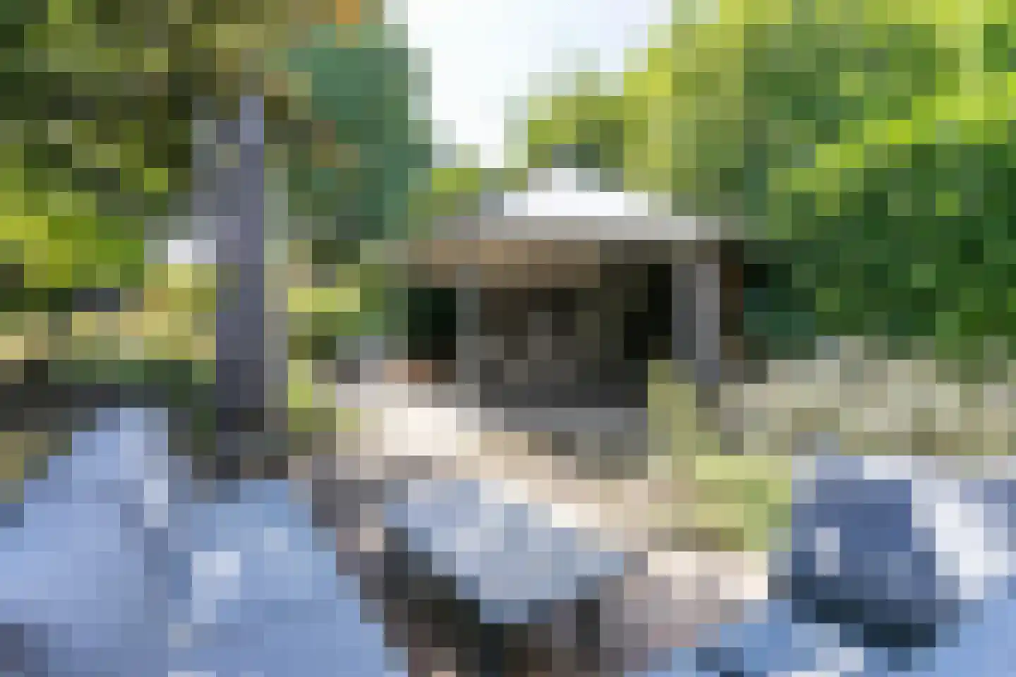 Voorsterstraat 61 Nuth thumbnail 39