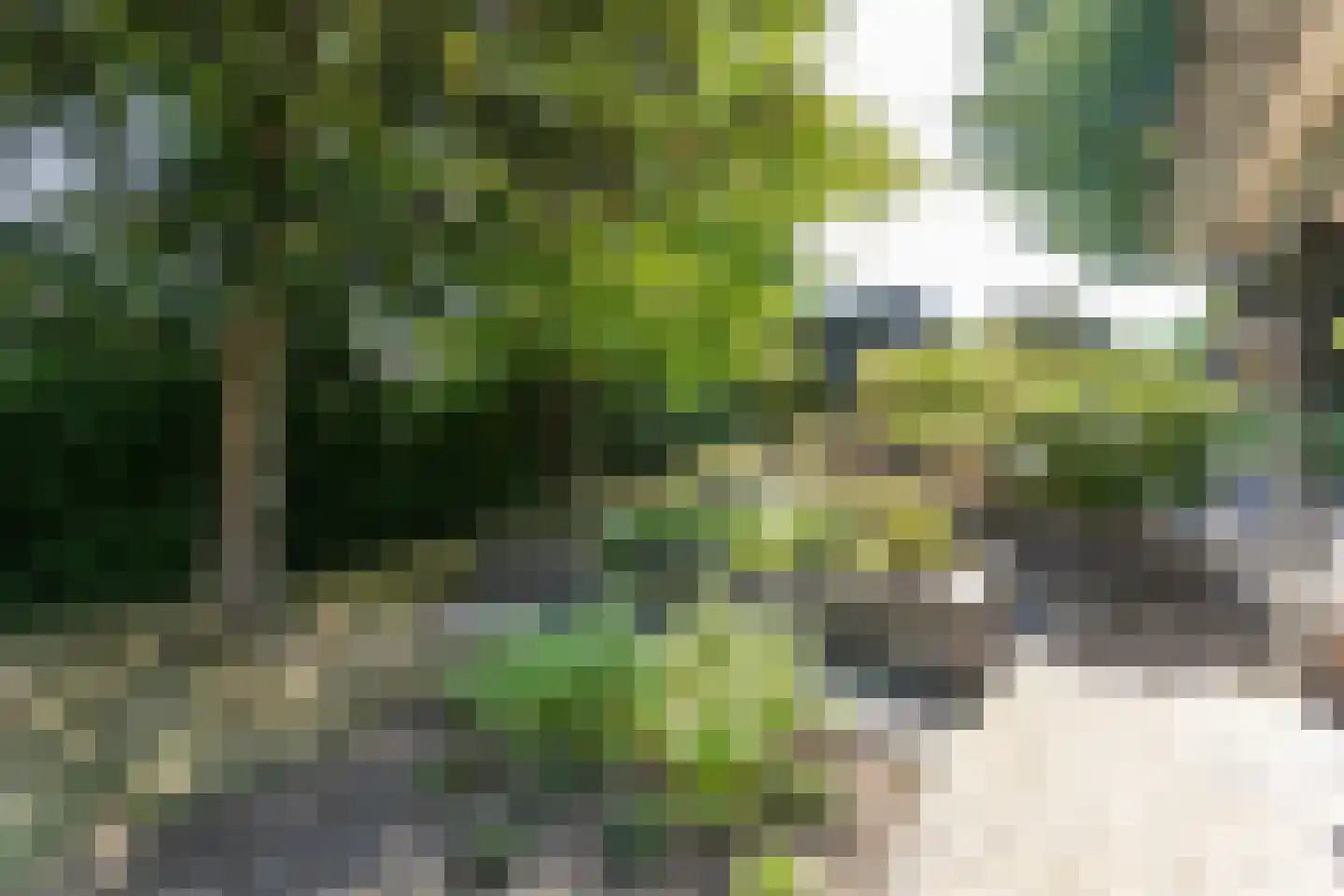 Voorsterstraat 61 Nuth thumbnail 41