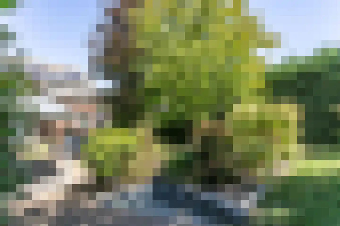 Voorsterstraat 61 Nuth thumbnail 42