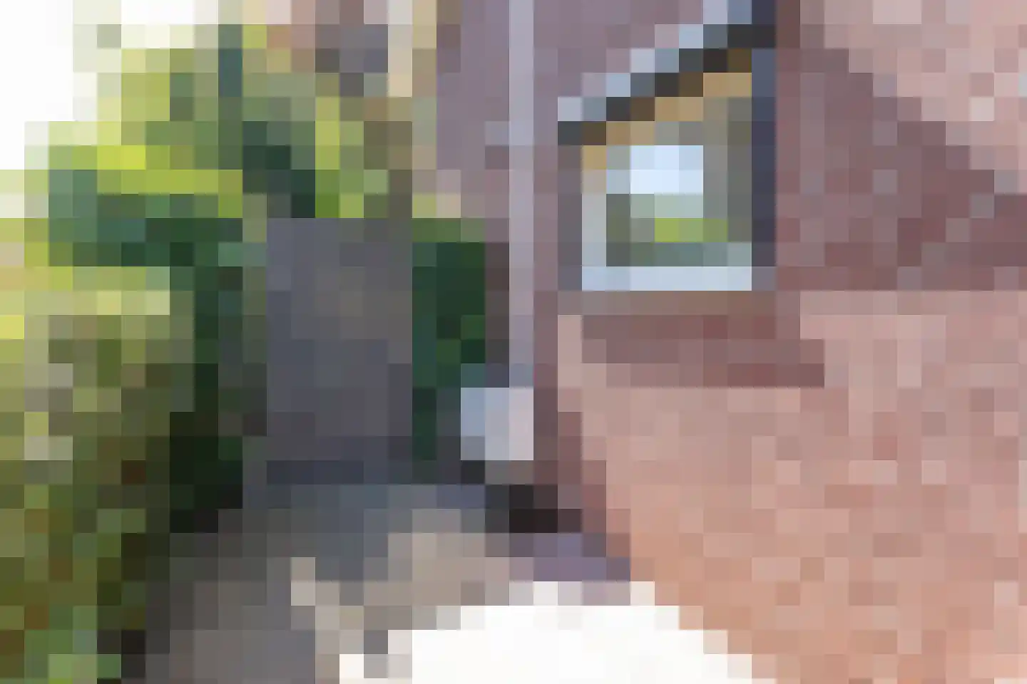 Voorsterstraat 61 Nuth thumbnail 46