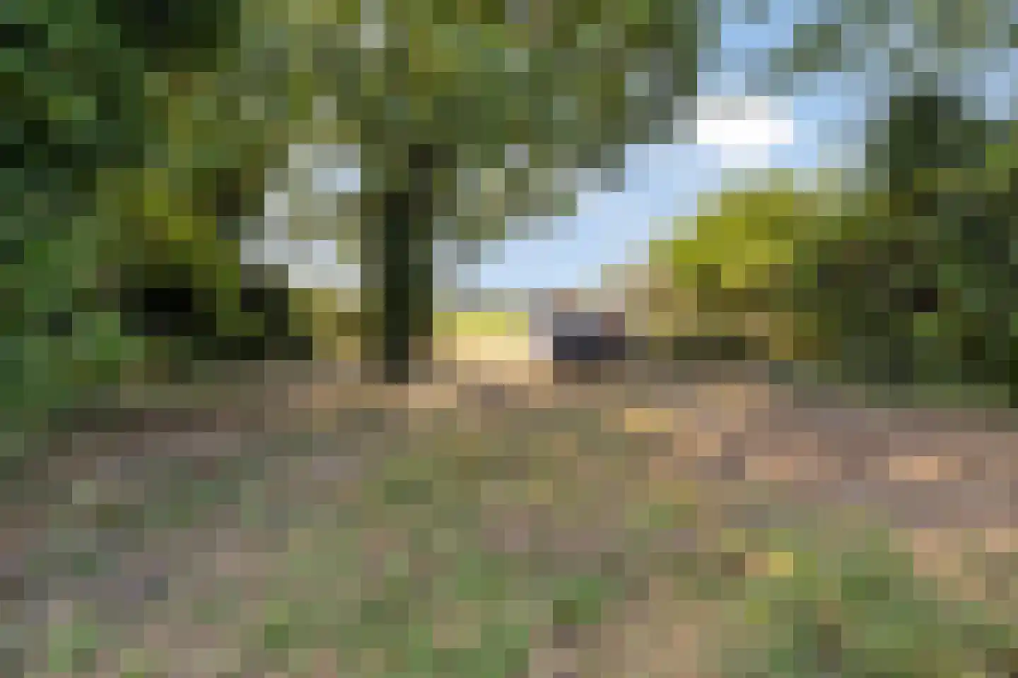 Voorsterstraatweg 27 Posterholt thumbnail 51
