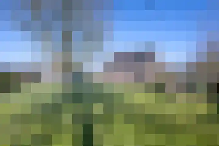Voorsterweg 105 Loenen thumbnail 24
