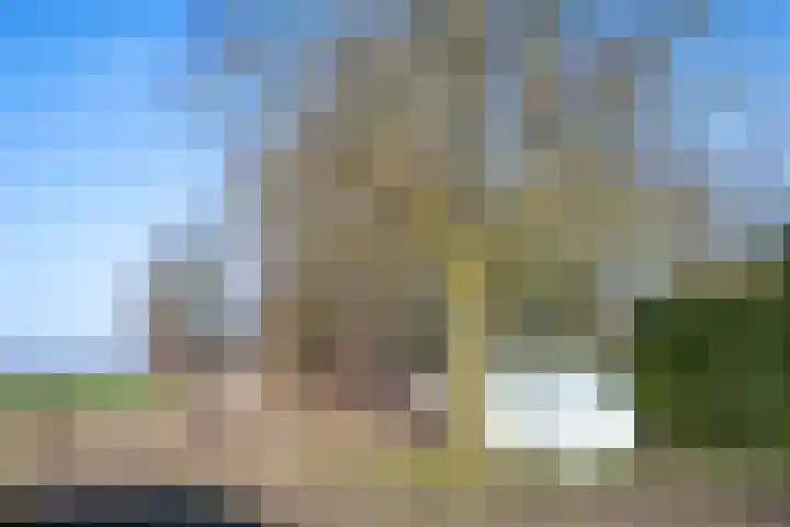 Voorsterweg 105 Loenen thumbnail 42