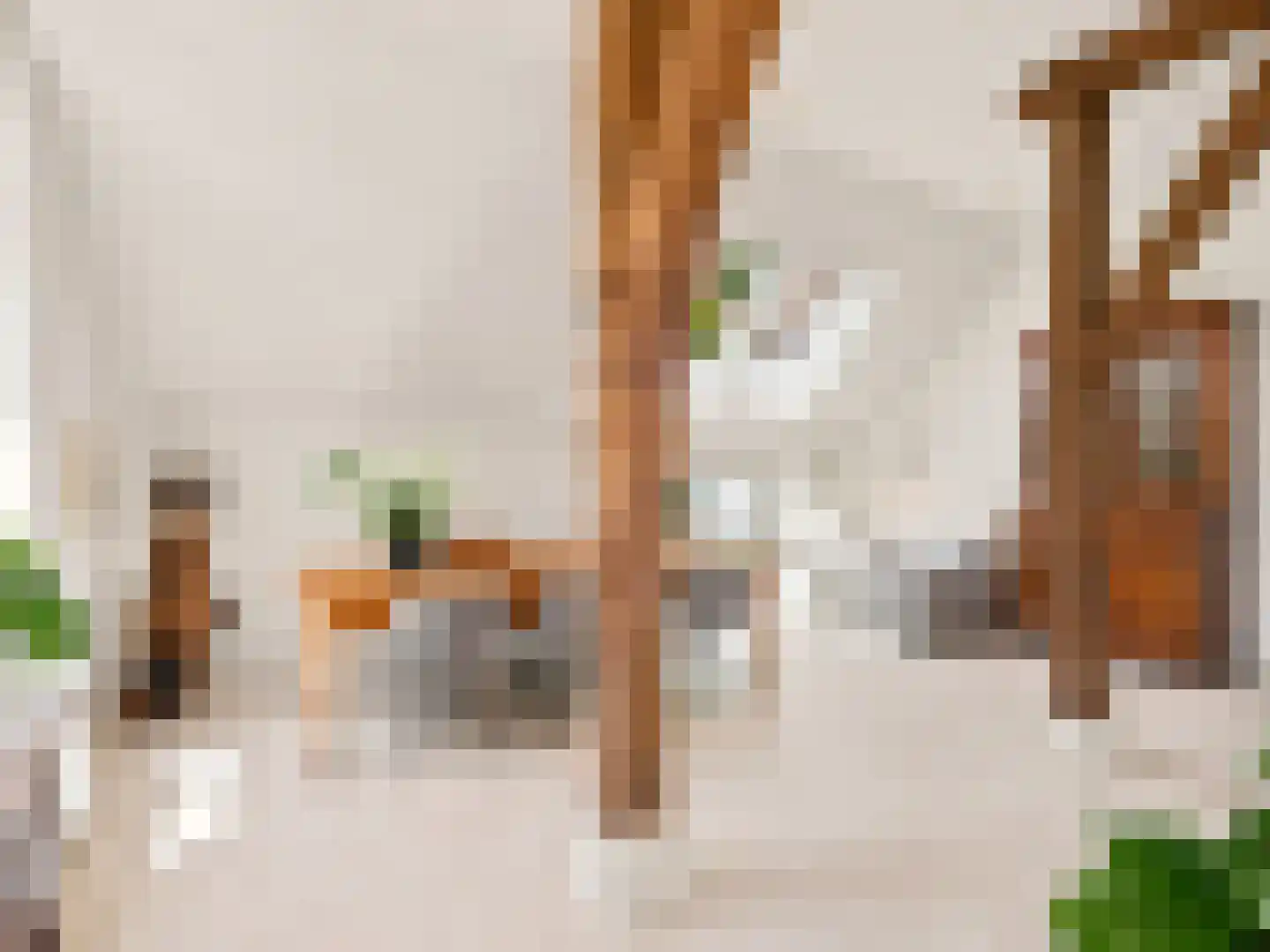 Voorsterweg 126 Brummen thumbnail 11
